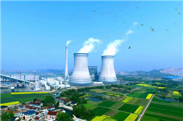 中國(guó)華能臨河電廠